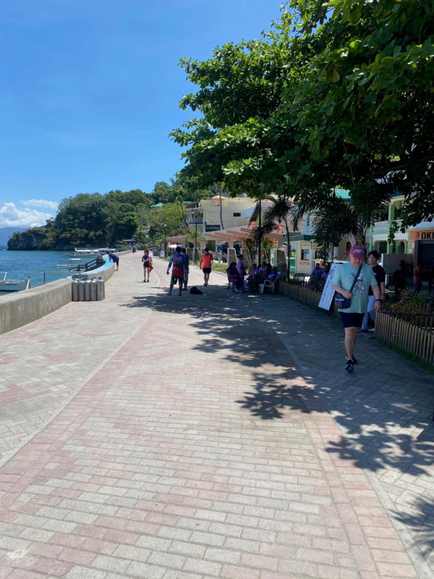 Papa Freds Beach Resort Puerto Galera Exterior photo