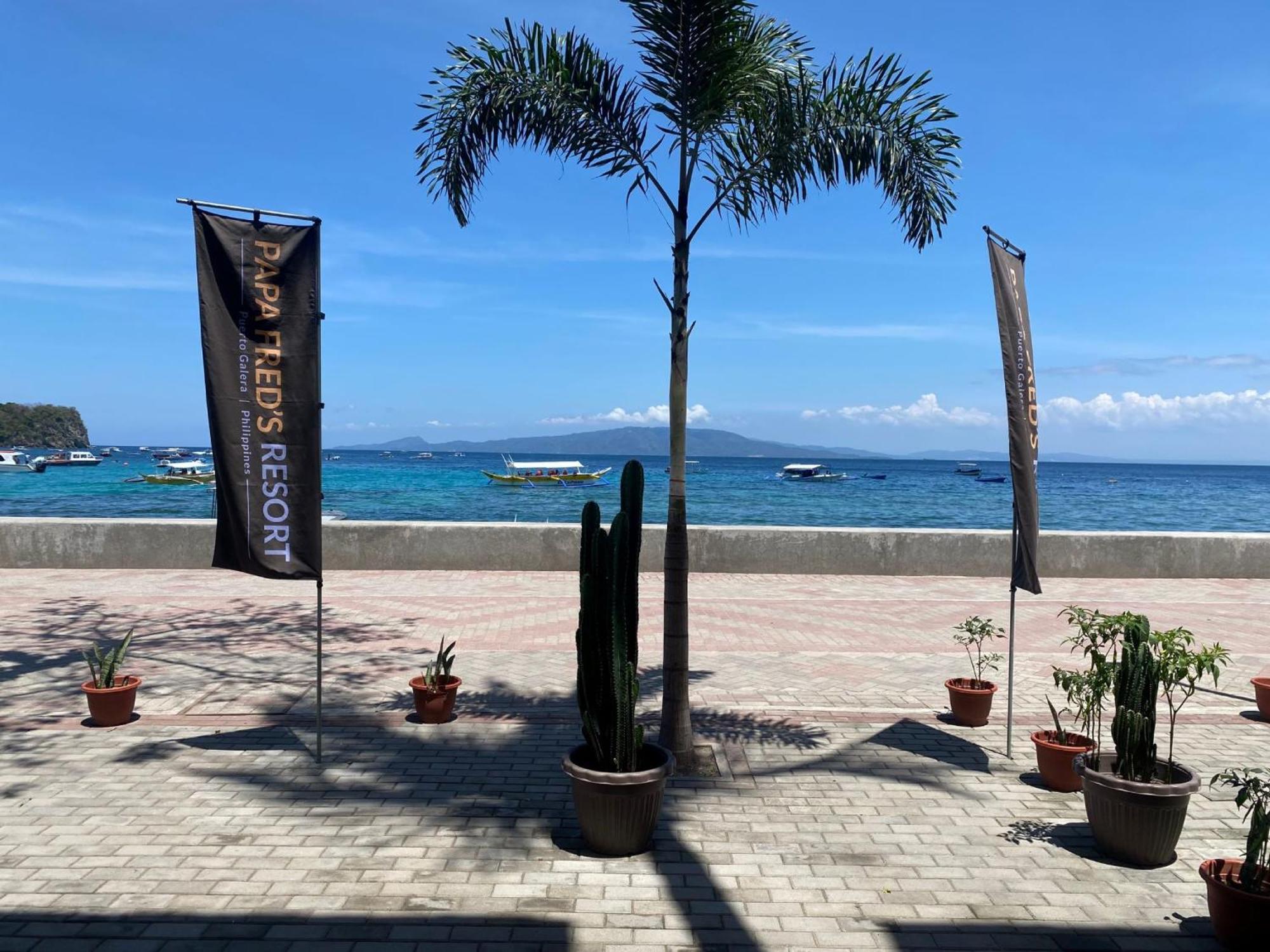 Papa Freds Beach Resort Puerto Galera Exterior photo